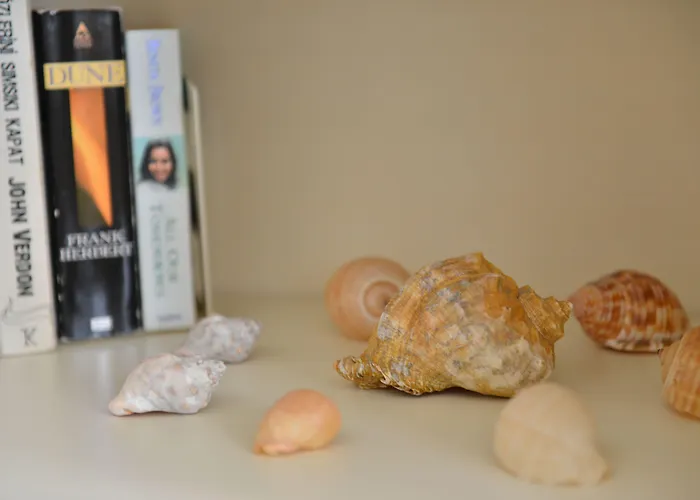 Minu 2* Φετιγιέ